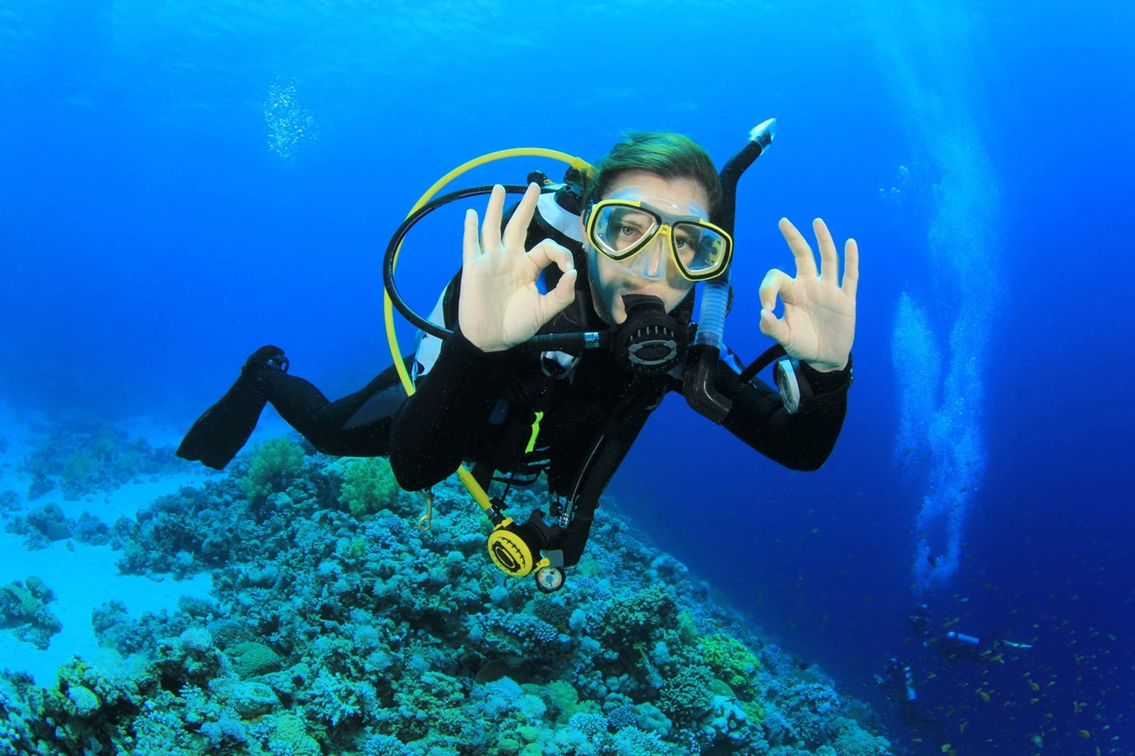 Scuba Diving in Goa